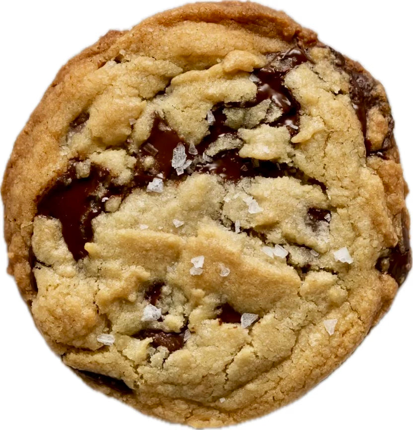 double chocolate chip cookie close up