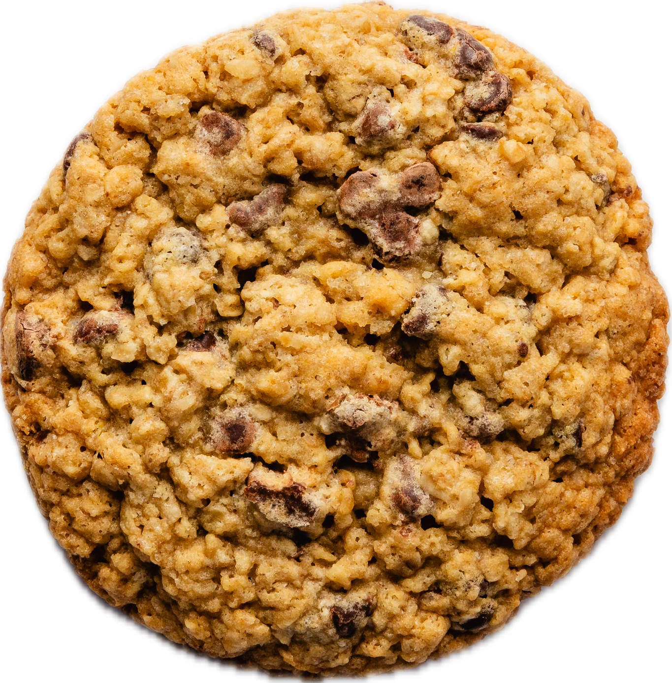 Oatmeal Chocolate Chip Cookie
