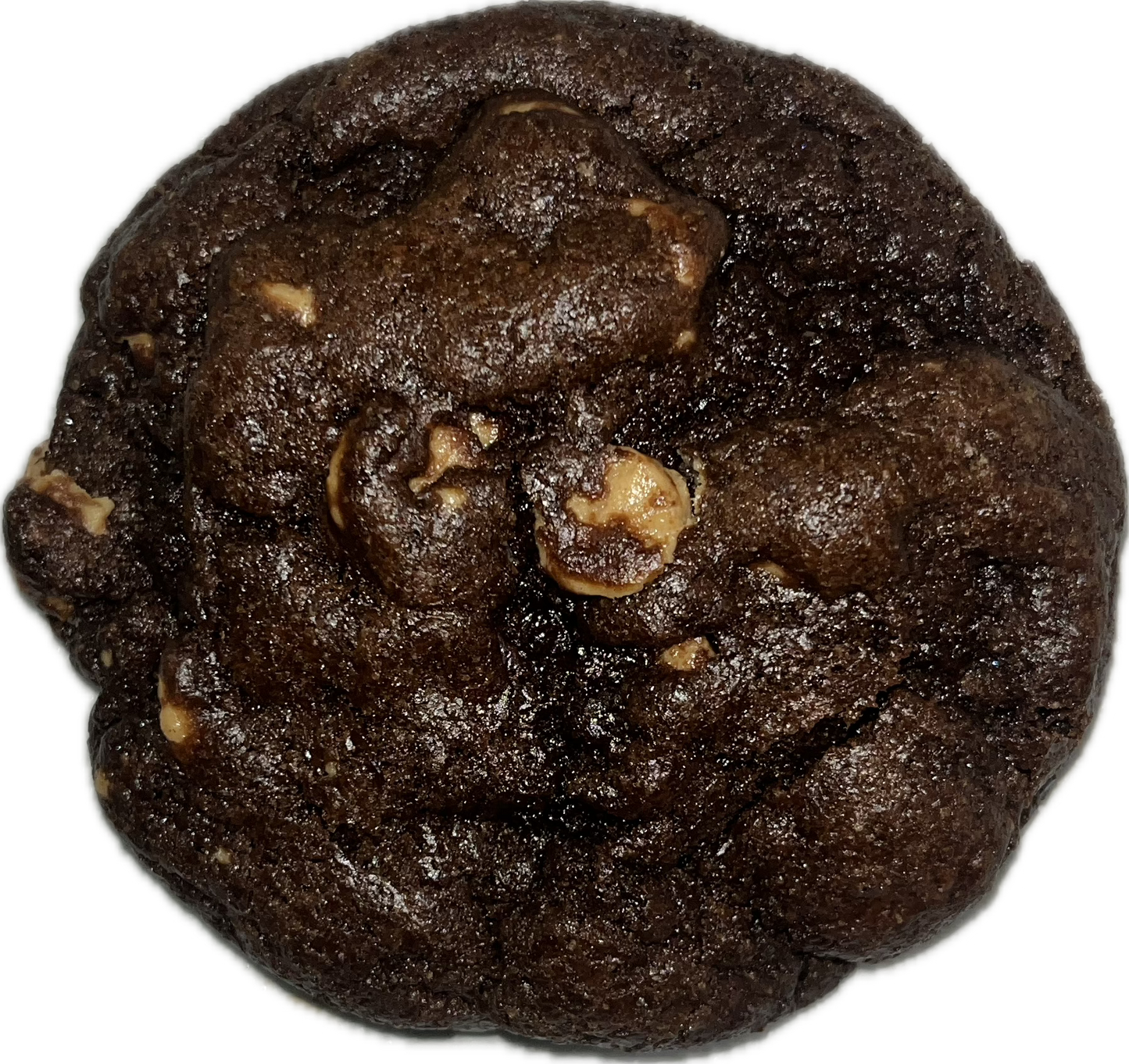 Chocolate Peanut Butter Cookie