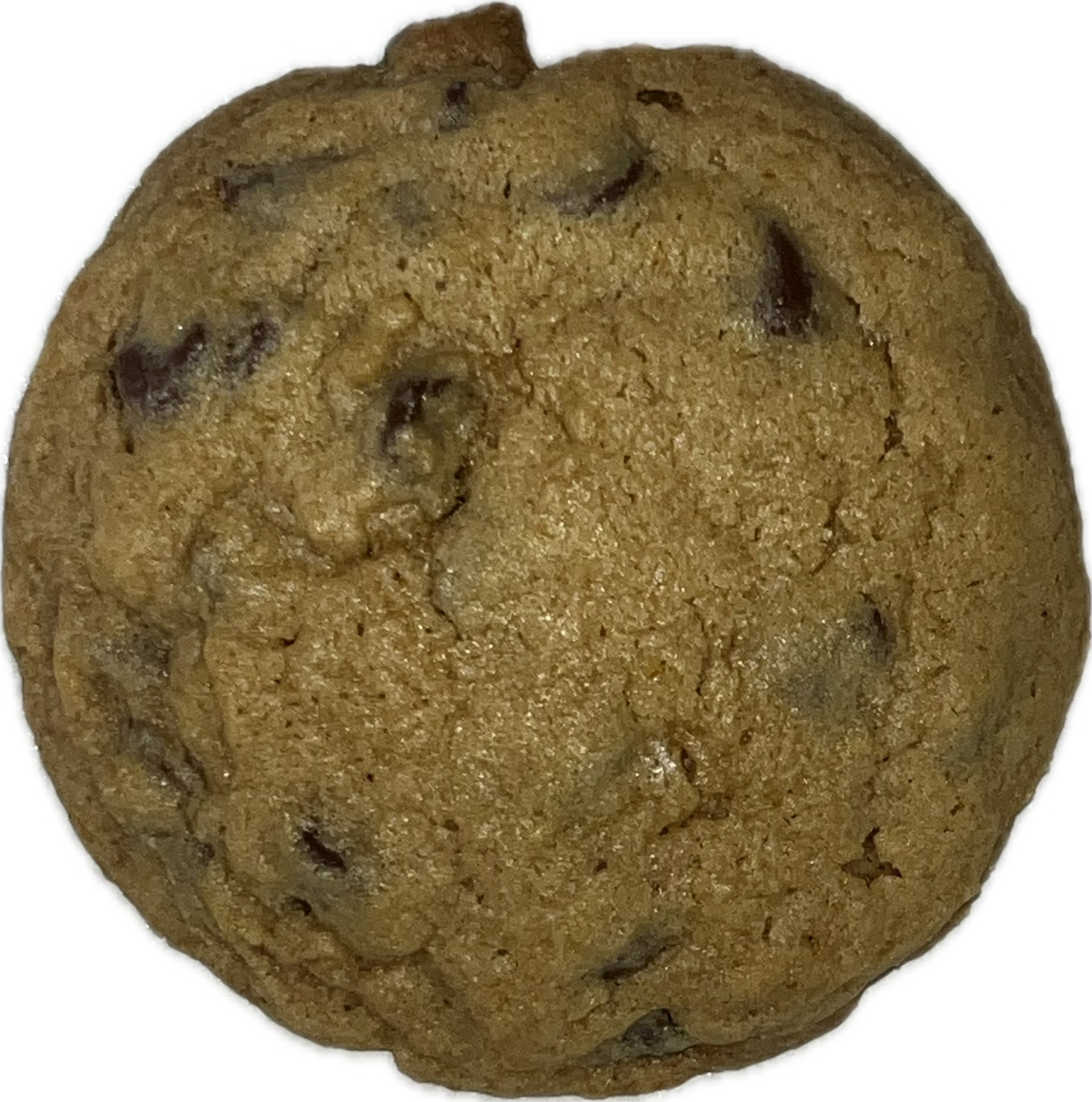 Pumpkin Chocolate Chip Cookie